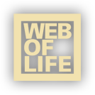 Web of Life - All things are connected
